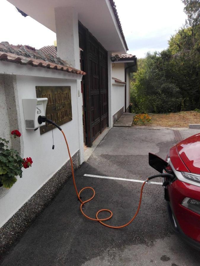 Hotel Villa Kaylaka Plevna Kültér fotó