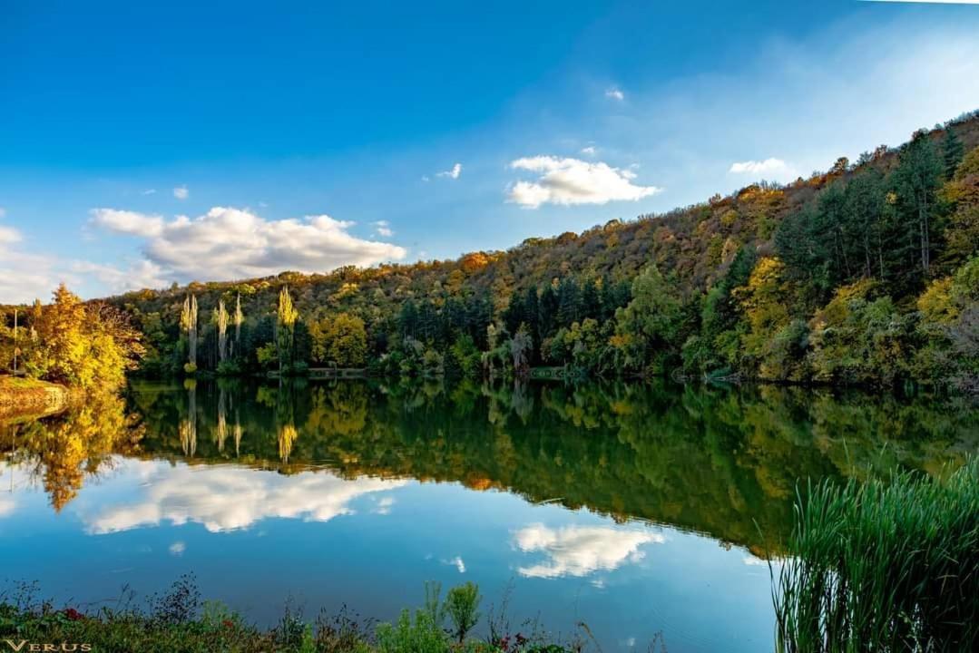 Hotel Villa Kaylaka Plevna Kültér fotó
